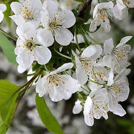 호텔 In - Ehemals Tui 4*